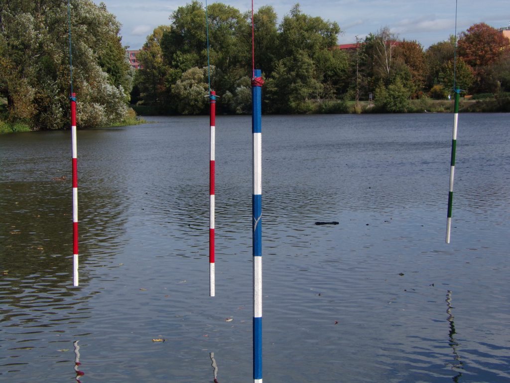 Standard Latten von der Länge 1000 mm