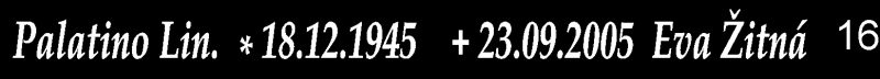 16. Palatino Lin.