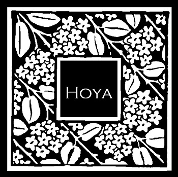 Hoya rámeček na foto II-7