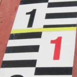 lateinischer Typ (L) (0, 1, 2..)