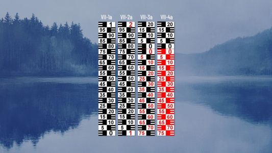Příklady limnigrafů typu VII. Limnigraf / vodočetná lať typu VII – obrácené 5cm E-bloky po 1 cm pro speciální instalace